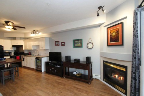 203-4512 52 Avenue, Red Deer, AB - Indoor With Fireplace