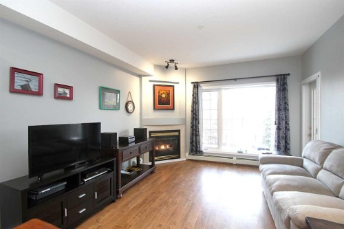 203-4512 52 Avenue, Red Deer, AB - Indoor Photo Showing Living Room With Fireplace