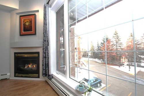 203-4512 52 Avenue, Red Deer, AB - Indoor With Fireplace