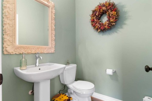 110 Truant Crescent, Red Deer, AB - Indoor Photo Showing Bathroom