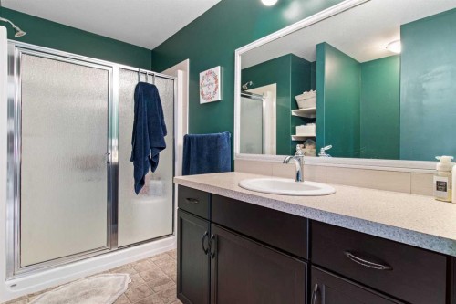 110 Truant Crescent, Red Deer, AB - Indoor Photo Showing Bathroom