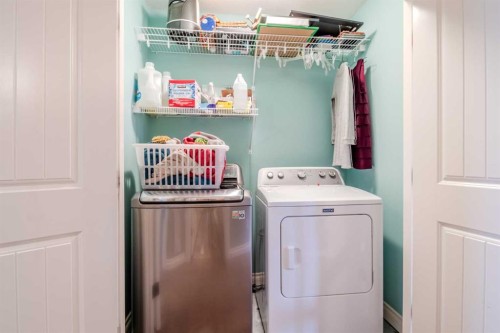 110 Truant Crescent, Red Deer, AB - Indoor Photo Showing Laundry Room