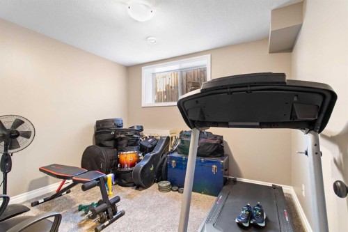 110 Truant Crescent, Red Deer, AB - Indoor Photo Showing Gym Room