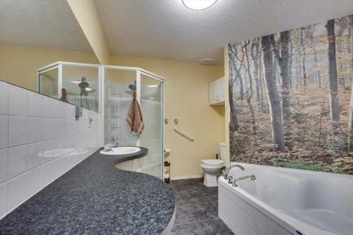 33542 Range Road 50, Rural Mountain View County, AB - Indoor Photo Showing Bathroom