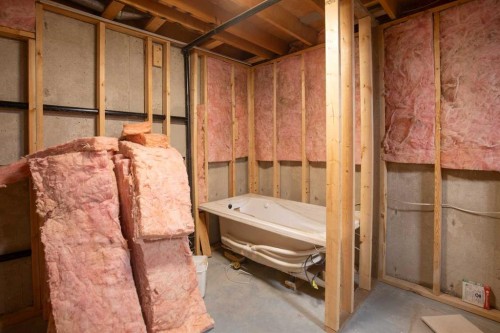 99 Dawson Street, Red Deer, AB - Indoor Photo Showing Basement
