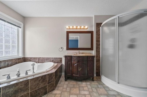 49021 Range Road 203, Rural Camrose County, AB - Indoor Photo Showing Bathroom