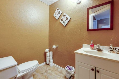 36258 Range Road 275, Rural Red Deer County, AB - Indoor Photo Showing Bathroom