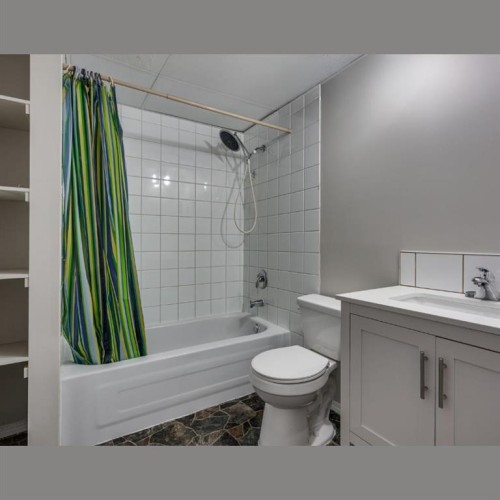 36258 Range Road 275, Rural Red Deer County, AB - Indoor Photo Showing Bathroom
