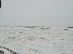 On Township Road 484  Rural Beaver County, AB T0B 2V0