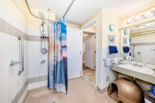 2035 20Th Avenue, Bowden, AB - Indoor Photo Showing Bathroom