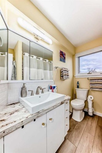 2035 20Th Avenue, Bowden, AB - Indoor Photo Showing Bathroom