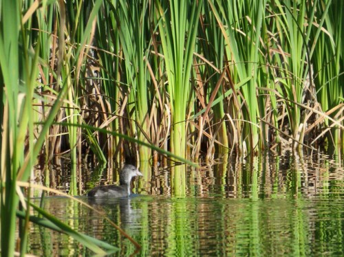 6600 58 Avenue, Innisfail, AB - Indoor Photo Showing Other Room