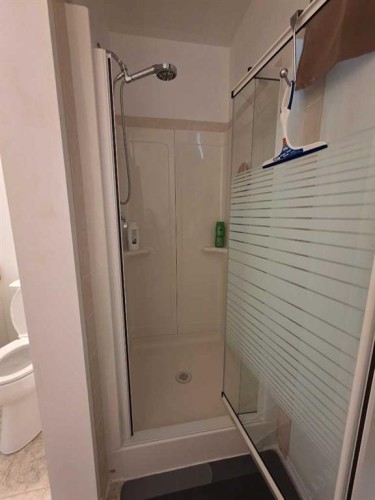 185 Willow Drive, Breton, AB - Indoor Photo Showing Bathroom