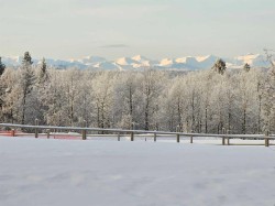 29 Hidden Valley Close  Rural Clearwater County, AB T4T 2A2