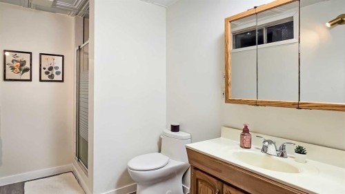 58 Maxwell Avenue, Red Deer, AB - Indoor Photo Showing Bathroom