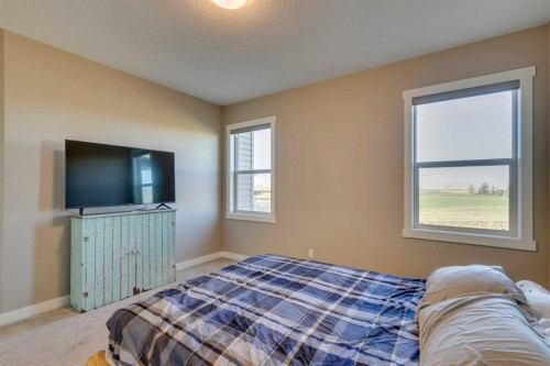 117 Speargrass Close, Carseland, AB - Indoor Photo Showing Bedroom