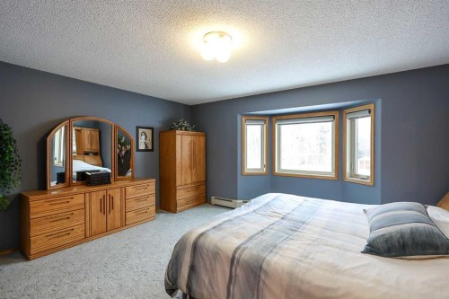 10-27501 Township Road 374, Rural Red Deer County, AB - Indoor Photo Showing Bedroom