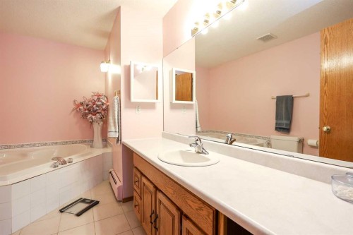 10-27501 Township Road 374, Rural Red Deer County, AB - Indoor Photo Showing Bathroom