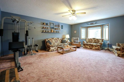 10-27501 Township Road 374, Rural Red Deer County, AB - Indoor Photo Showing Living Room