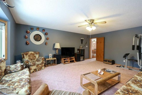 10-27501 Township Road 374, Rural Red Deer County, AB - Indoor Photo Showing Living Room