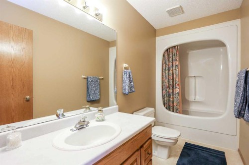 10-27501 Township Road 374, Rural Red Deer County, AB - Indoor Photo Showing Bathroom