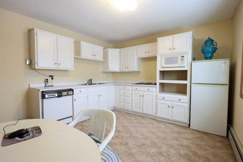 10-27501 Township Road 374, Rural Red Deer County, AB - Indoor Photo Showing Kitchen With Double Sink