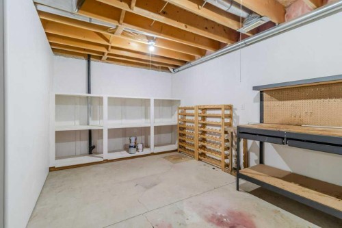 9 Dunn Close, Red Deer, AB - Indoor Photo Showing Basement