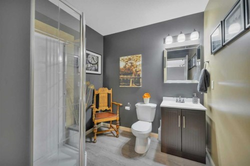 114 Old Boomer Road, Sylvan Lake, AB - Indoor Photo Showing Bathroom