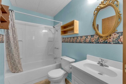 4908 51 Street, Clive, AB - Indoor Photo Showing Bathroom