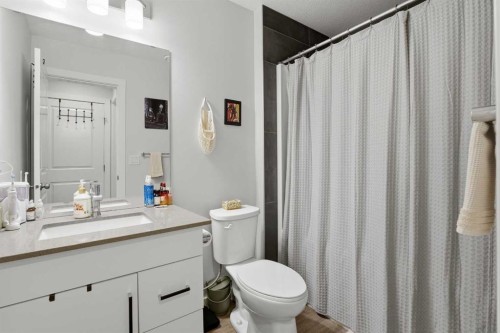 51 Lake Street, Rural Red Deer County, AB - Indoor Photo Showing Bathroom
