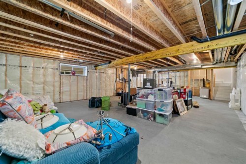 4419 75 Street, Camrose, AB - Indoor Photo Showing Basement