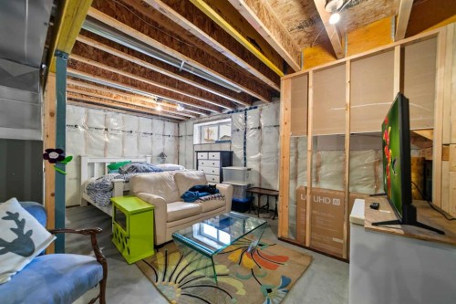 4419 75 Street, Camrose, AB - Indoor Photo Showing Basement