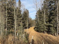 39-3 Township Road  Rural Clearwater County, AB T0M 0C0