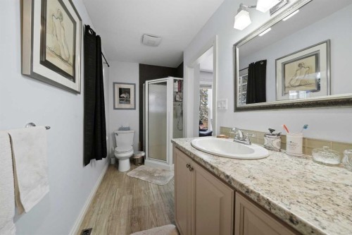 3722 44 Avenue, Red Deer, AB - Indoor Photo Showing Bathroom