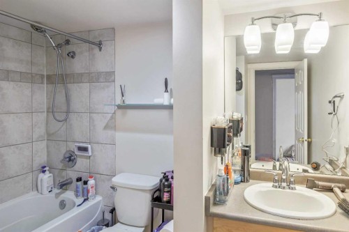 304-103 Hermary Street, Red Deer, AB - Indoor Photo Showing Bathroom