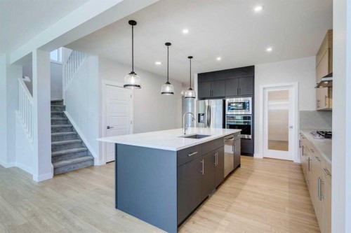 613 Sailfin Drive, Rural Rocky View County, AB - Indoor Photo Showing Kitchen With Upgraded Kitchen