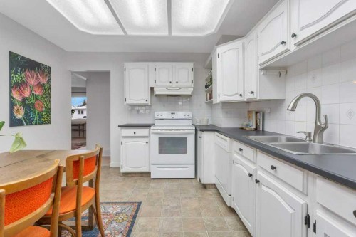 4217 43 Avenue, Red Deer, AB - Indoor Photo Showing Kitchen With Double Sink