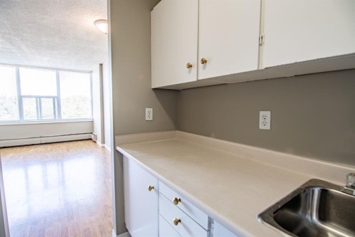 307-4820 47 Avenue, Red Deer, AB - Indoor Photo Showing Kitchen