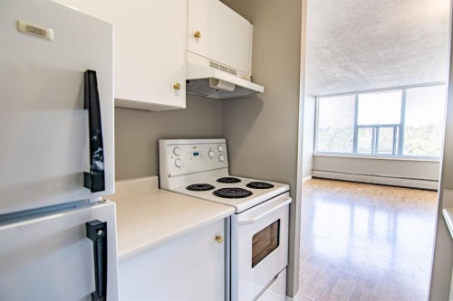 307-4820 47 Avenue, Red Deer, AB - Indoor Photo Showing Kitchen