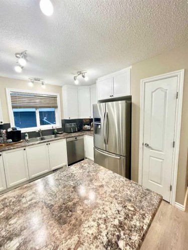 9340 211 Street Nw, Edmonton, AB - Indoor Photo Showing Kitchen With Double Sink