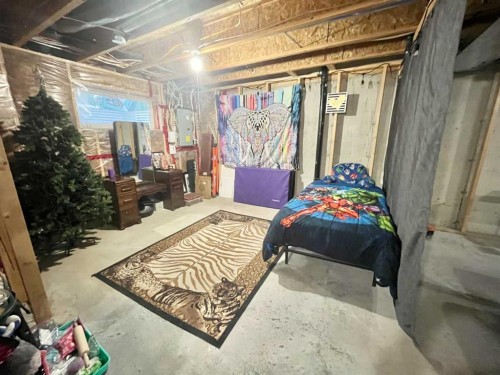 9340 211 Street Nw, Edmonton, AB - Indoor Photo Showing Basement