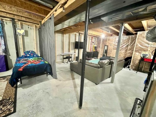 9340 211 Street Nw, Edmonton, AB - Indoor Photo Showing Basement