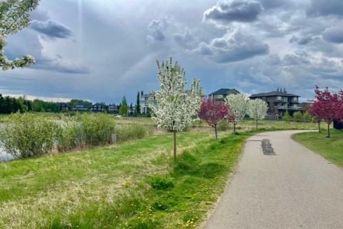 9340 211 Street Nw, Edmonton, AB - Outdoor With View