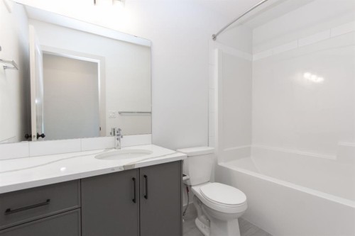 49 Turnbull Close, Red Deer, AB - Indoor Photo Showing Bathroom