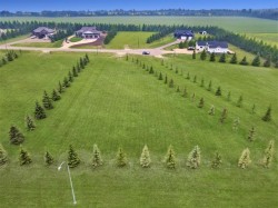 6217 Evergreen Close  Rimbey, AB T0C 2J0