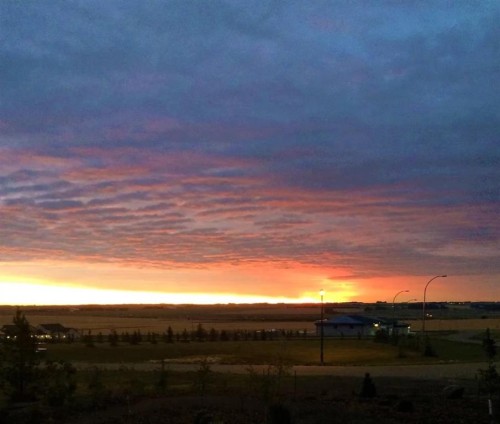 6217 Evergreen Close, Rimbey, AB 