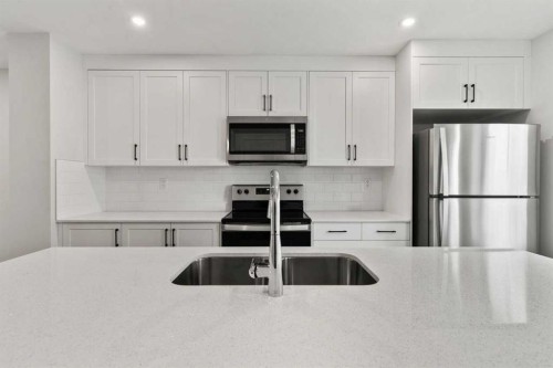 110-40 Livingston Parade Ne, Calgary, AB - Indoor Photo Showing Kitchen With Double Sink With Upgraded Kitchen