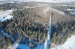 On Highway 2A  Rural Ponoka County, AB T4J 1R5