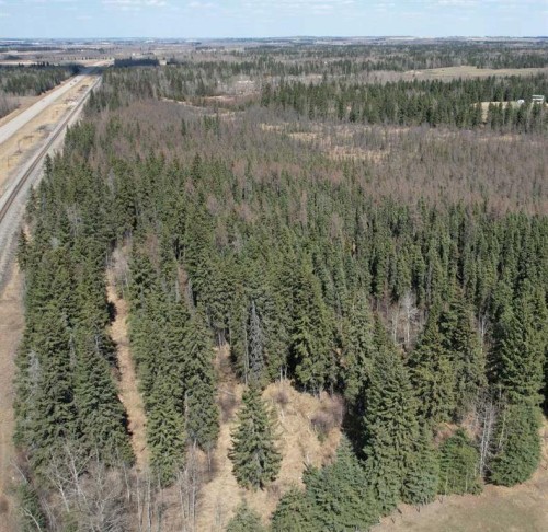 On Highway 2A, Rural Ponoka County, AB 