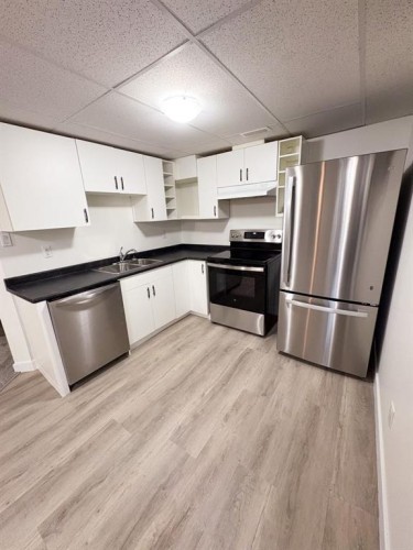 5013 53 Street, Camrose, AB - Indoor Photo Showing Kitchen With Double Sink